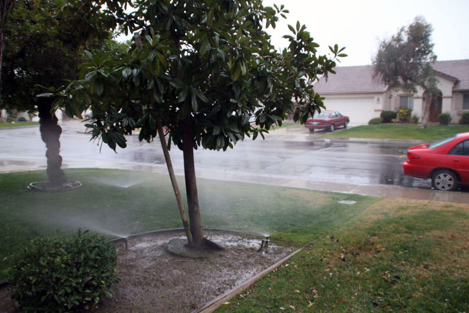 The 12 Days of Smart Home Automation Day 7: Smart Irrigation Controls