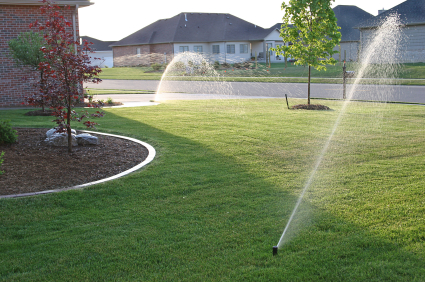 Smart home irrigation system